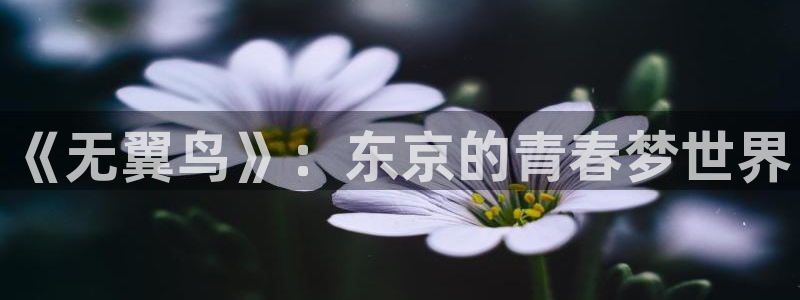 51漫画入口界面